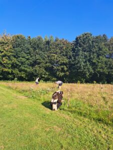 photo of Yateley community orchard