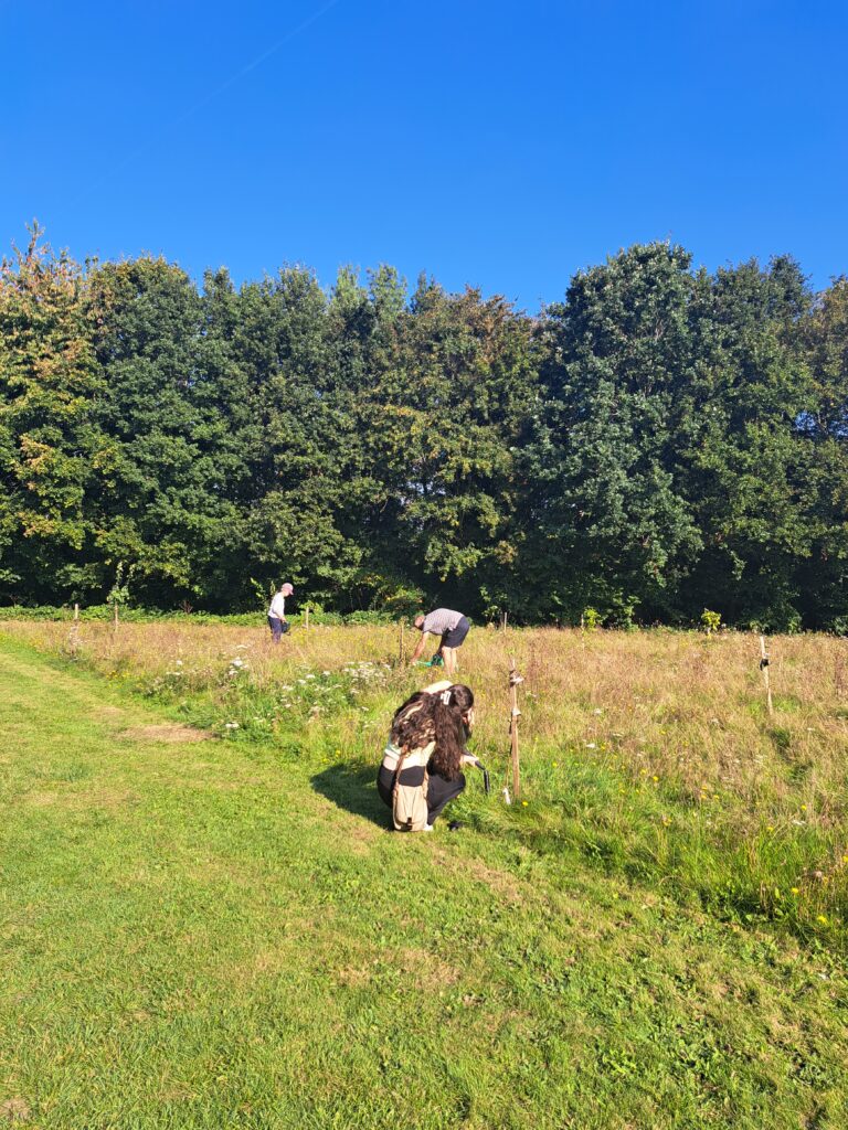 photo of Yateley community orchard