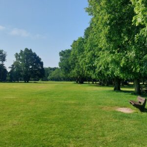 photo of Yateley Green