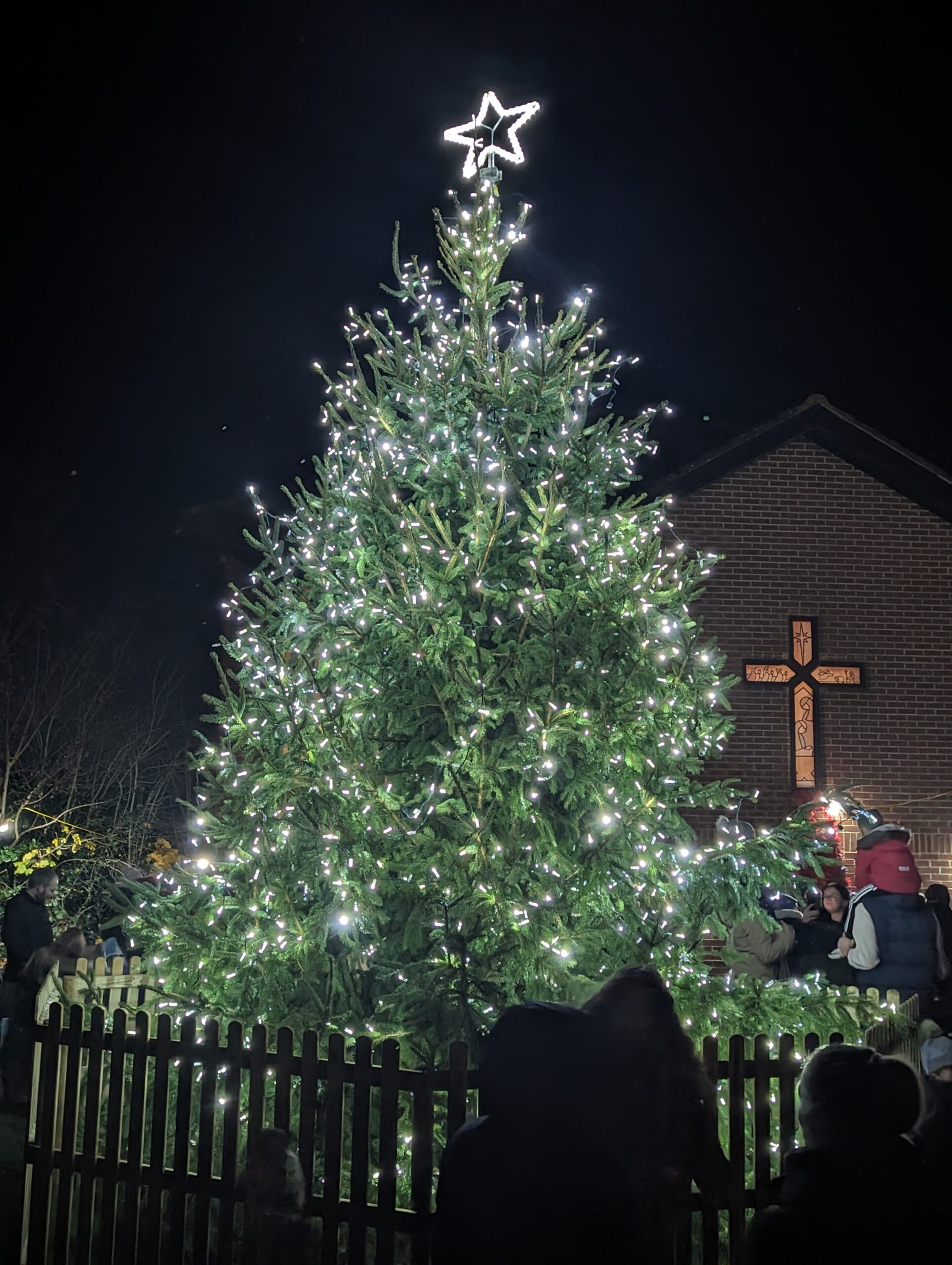 Frogmore Christmas Tree Lit