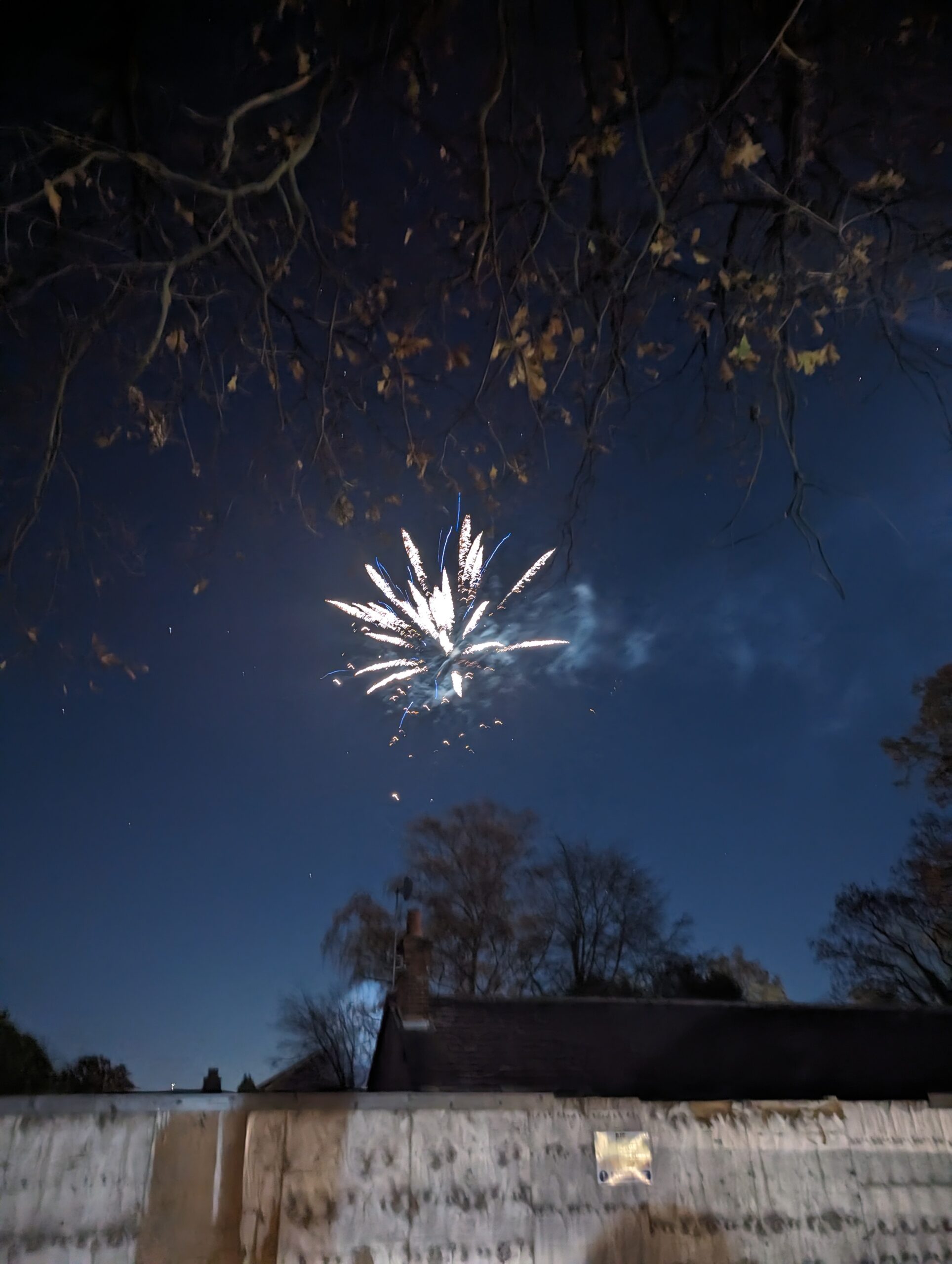 Firework