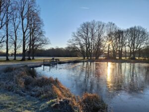 Photo of Yateley Pond on a winter morning